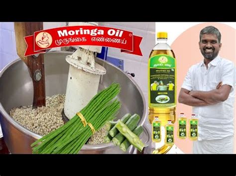 How Is Made Cold Pressed Moringa Oil Automaticmarachekkumachine