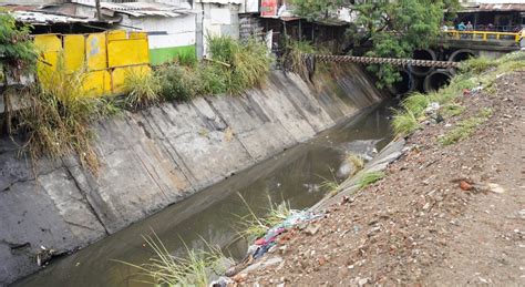 Es Responsabilidad De Todos El Estado De Los Canales De Aguas Lluvias