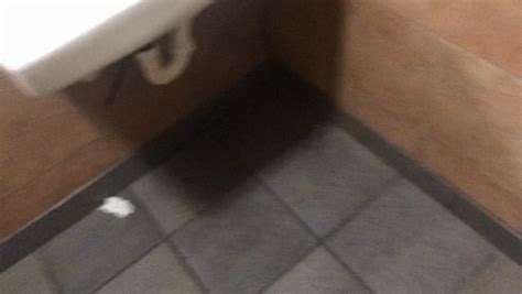 Bathroom Playhouse Fast Food Pee While Out 71318