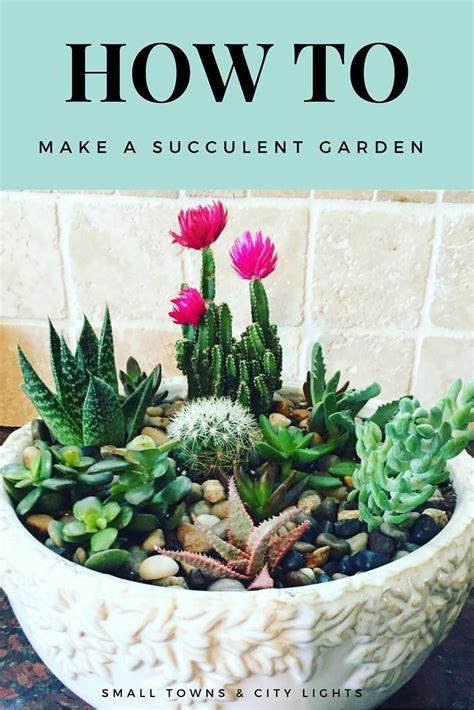 How To Make A Succulent Garden Succulents Succulent Gardening