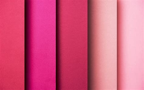 Pink Color - Understanding the Different Pink Color Undertones