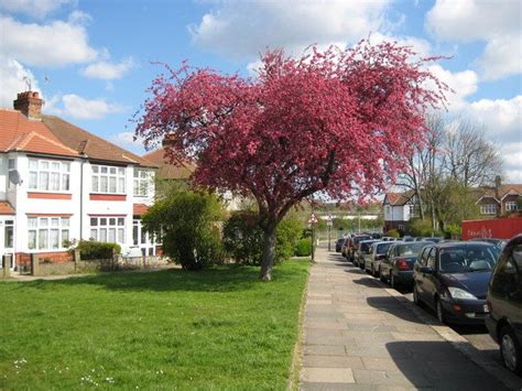 Harrow is a large town in the London Borough of Harrow, northwest ...