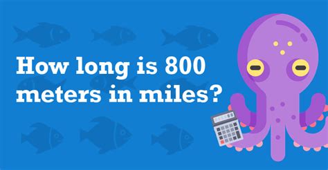 800 meters in miles (800 m to mi)