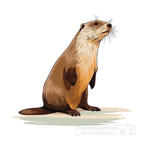 Beaver Clipart-beavers webbed feet swimmer clip art