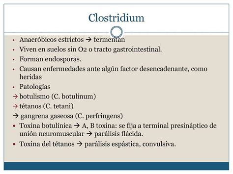 Fisiolog A Bacteriana Bioq Denise Risnik Ppt Descargar