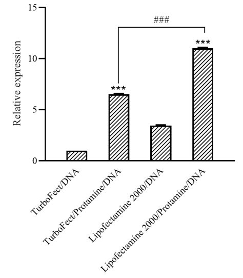 Quantitative Real Time Polymerase Chain Reaction Results The Green