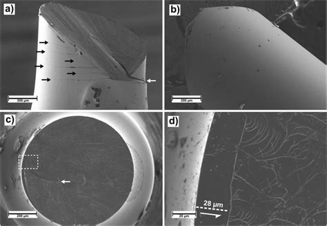 Sem Micrographs Of Tensile Specimen After Fracture At Cryogenic