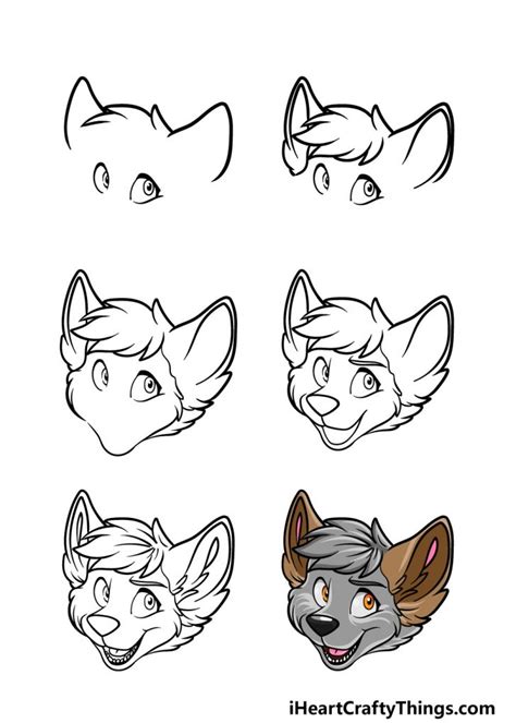 furry head drawing   draw  furry head step  step