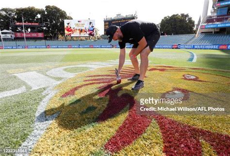 Lions Afl Grand Final Photos And Premium High Res Pictures Getty Images