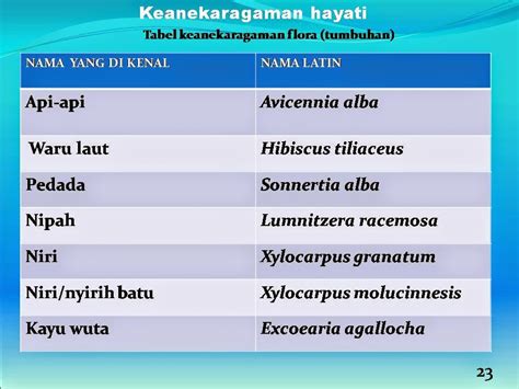 Ekosistem Mangrove Ekosistem Mangrove Ppt