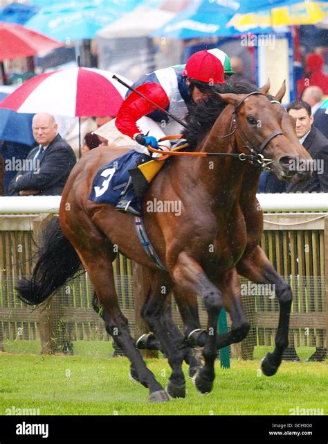 Horse Racing - Newmarket Racecourse Stock Photo - Alamy