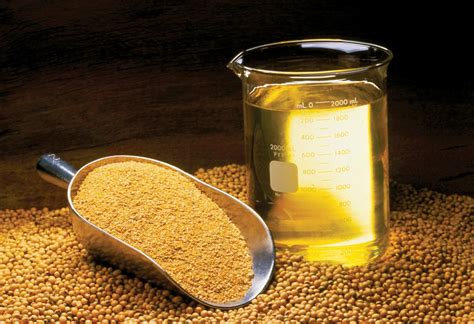 Usda Industrial Uses Driving Us Demand For Soybean Oil Fandl Asia