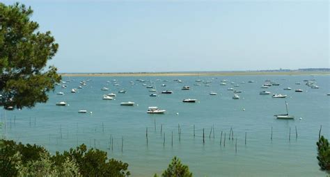 Bassin D Arcachon D Couvrez Ses Secrets Et Activit S Incontournables