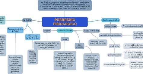 Portafolio electrónico ginecología PUERPERIO FISIOLÓGICO