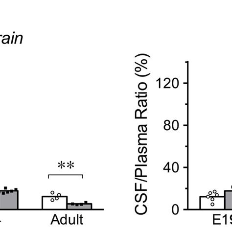 Brain Plasma And Cerebrospinal Fluid Csf Plasma Concentration Ratios