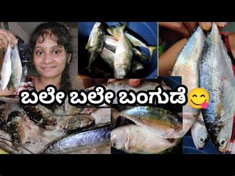 K Tulu Vlog Chaithanya Tulutalks Tulunada Tulu