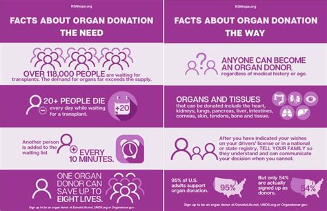 Organ Donation Facts Download And Share The Pdf Organ Donation