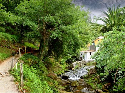 Paseo fluvial del río Sarela Parques y jardines Web Oficial de