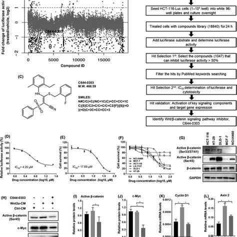 C Was Identified As An Inhibitor Of Wnt Catenin Signaling By