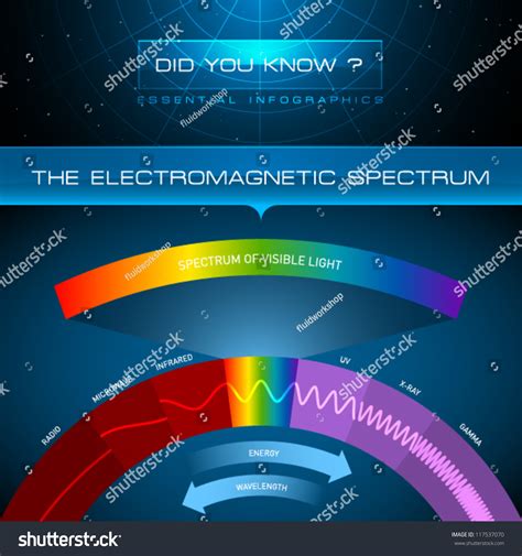 Vector Infographic The Electromagnetic Spectrum