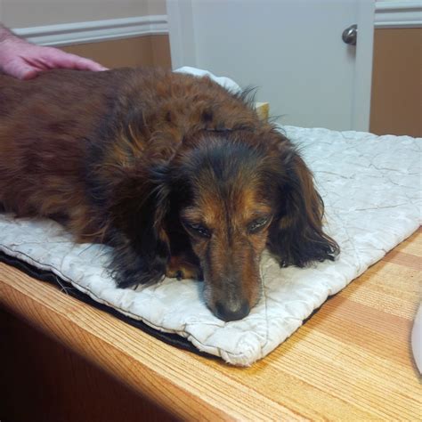 NEVER...EVER...GIVE UP HOPE : Heartbreaking Obituary For Our Beloved