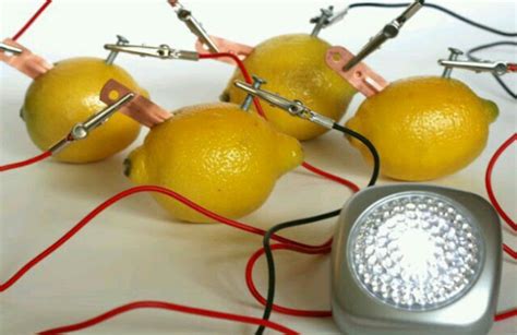 Awesome Electricity Science Project Experiments for Kids