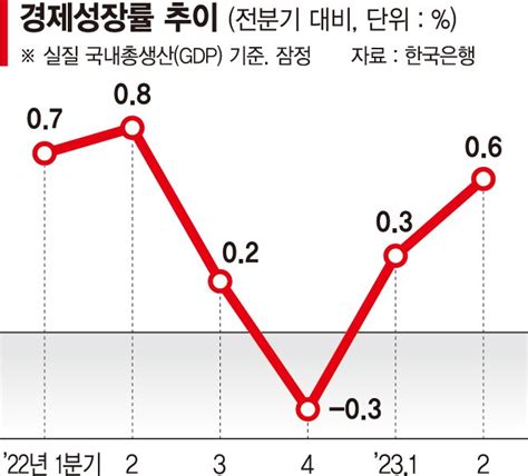 2분기 성장률 06 불황형 흑자 하반기 최대 변수는 반도체 수출 파이낸셜뉴스