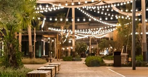 Looking for the Best in Patio Lighting?