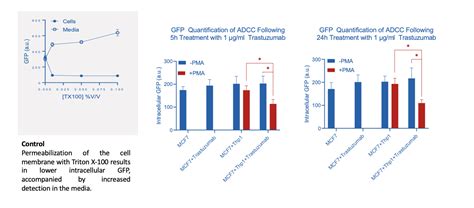 ADCC Cellomatics Biosciences