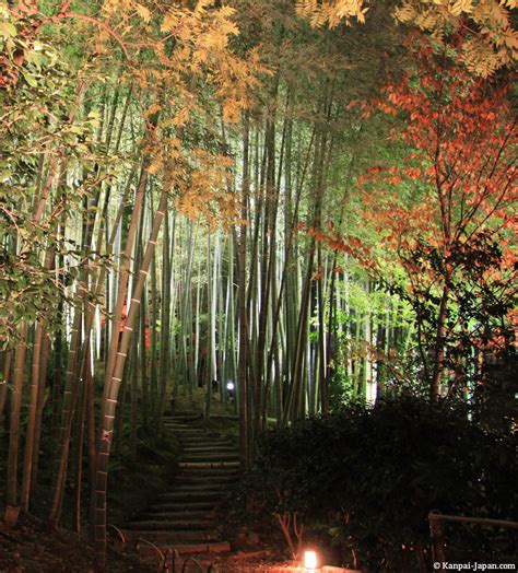 Kodai-ji - The temple with maple and bamboo in Kyoto