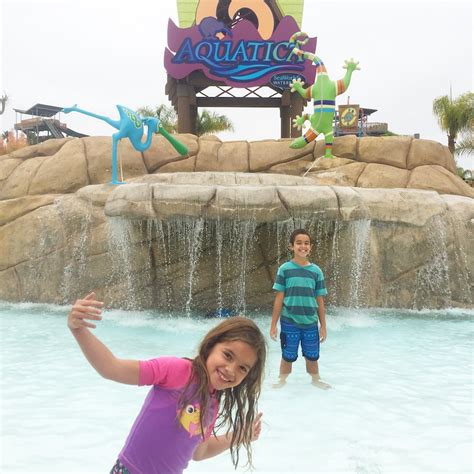 Complete Guide To Visiting Aquatica San Diego Rockin Mama™