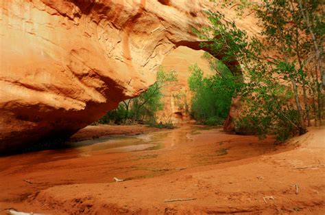 Southern Utah Day HIkes: Coyote Gulch