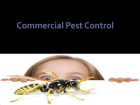 Ppt Commercial Pest Control Powerpoint Presentation Free Download Id 7182527