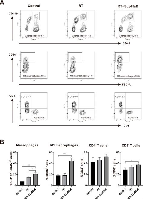 Figure From Synergistic Antitumor Effect Of Combined Radiotherapy And