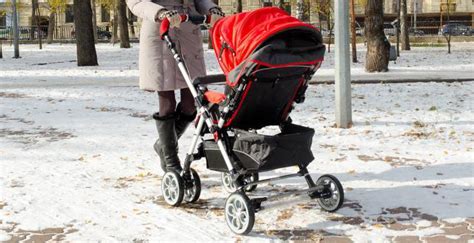 Прогулочная коляска "Капелла Сибирь": описание моделей, характеристики ...