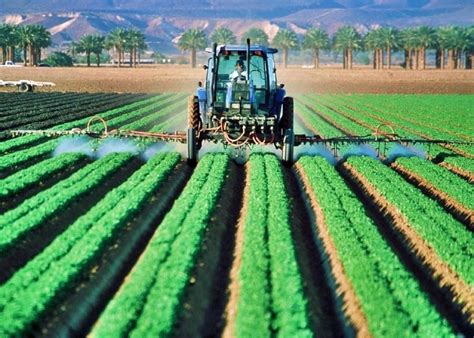 Agricultura Moderna Qué Es Características Técnicas Y Más