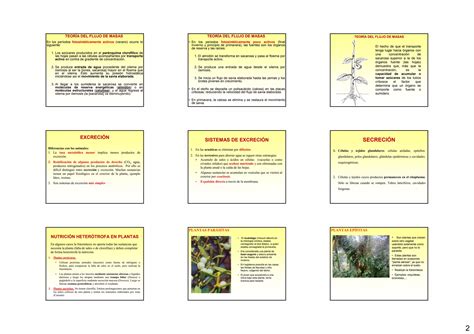 Fisiologia Vegetal III Apoyo PPT