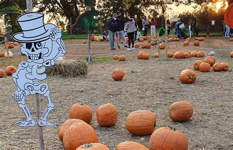 Pumpkin Patch Dove Trovare I Campi Di Zucche In Italia Ti Racconto