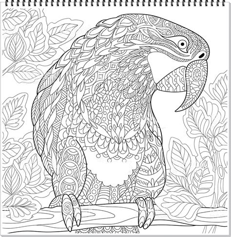 Papagei Mandala Ausmalbilder Zum Ausdrucken Parrot Mandala Coloring