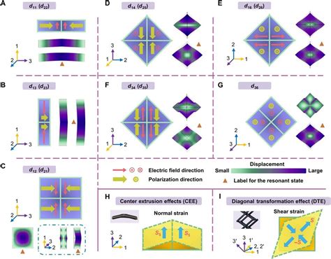 Schematic Designs Of Piezoelectric Metamaterials With Programmed