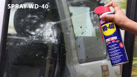 Tricks To Remove Insects From Your Car With WD 40 WD 40 India