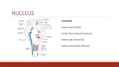 Cranialnerve6palsy 190820083542 Pdf