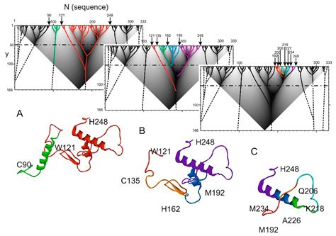 Ijms Free Full Text Hierarchical Structure Of Protein Sequence