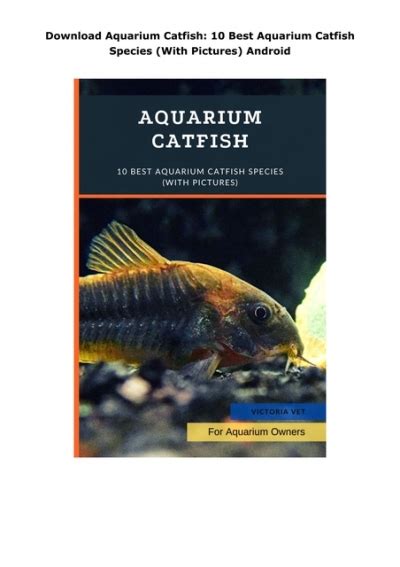 Download Aquarium Catfish: 10 Best Aquarium Catfish Species (With Pictures) Android