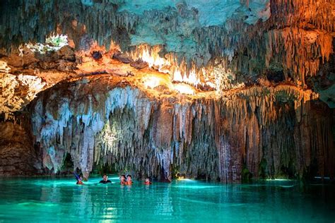 Cenotes Paradise Lagoon With Snorkeling From Playa Del Carmen Tulum