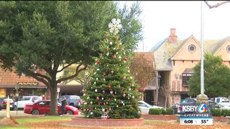 New, live Christmas tree lights up town center in Solvang