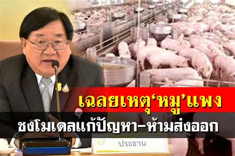 เฉลยเหตุ‘หมูแพงเกษตรฯชงนายกฯ‘ห้ามส่งออก กางโมเดลแก้ปัญหา ดันผลผลิต