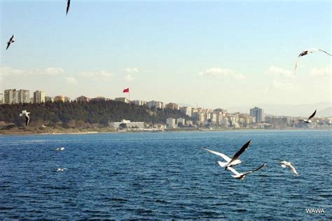 Dardanelles (Çanakkale Strait, Hellespont)