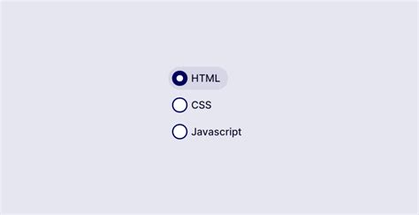 Radio Button Css Style Examples Dev Community