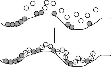 Investigators have proposed that template copolymerization with... | Download Scientific Diagram